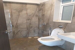 Bathroom in 2 BHK Apartment at Blumen Apartments, Vikhroli West – for Rent