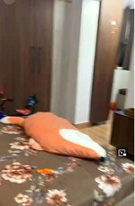 3 BHK 1500 Sq.Ft. Apartment in Bariatu