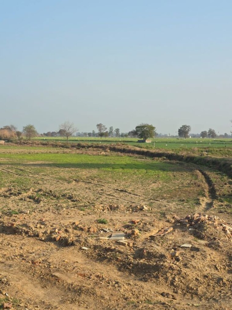 undefined, kharkhoda  100 Sq.Yd. Plot In Kharkhoda Sonipat 10006963