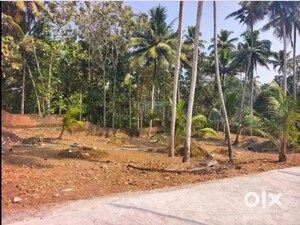  Plot For Sale in Muttada