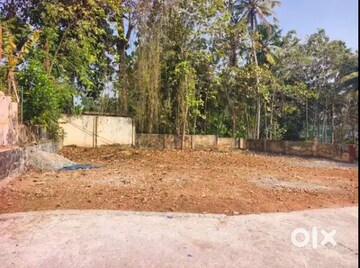 Plot Area in  Plot at Muttada – for Sale