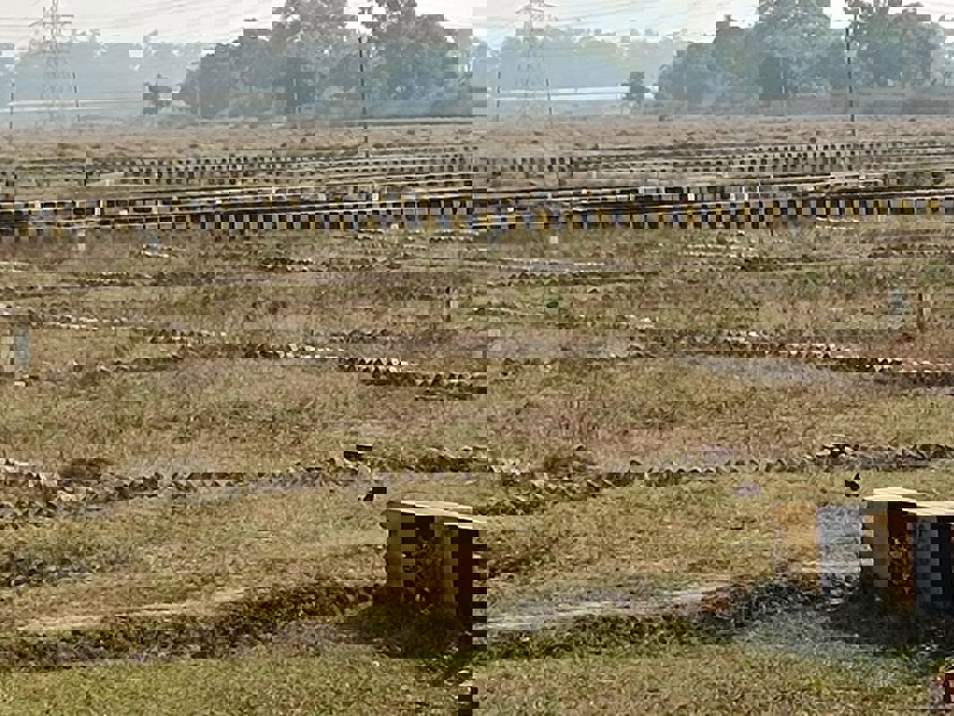 Plot Area in  Plot at Sector 25 Yamuna Expressway – for Sale