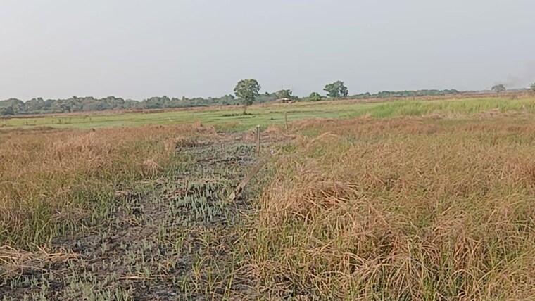 undefined, virar west  5048 Sq.Mt. Plot In Virar West Palghar 10008531