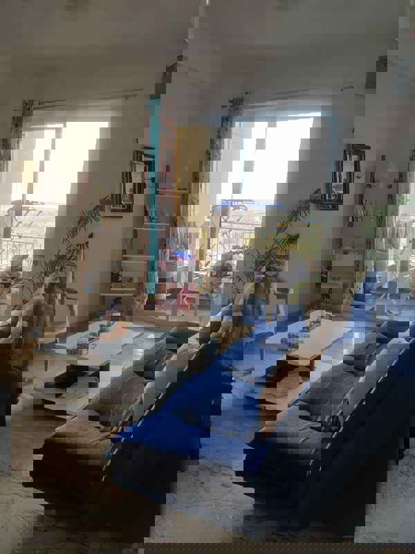 3 BHK 1950 Sq.Ft. Apartment in Supertech Araville