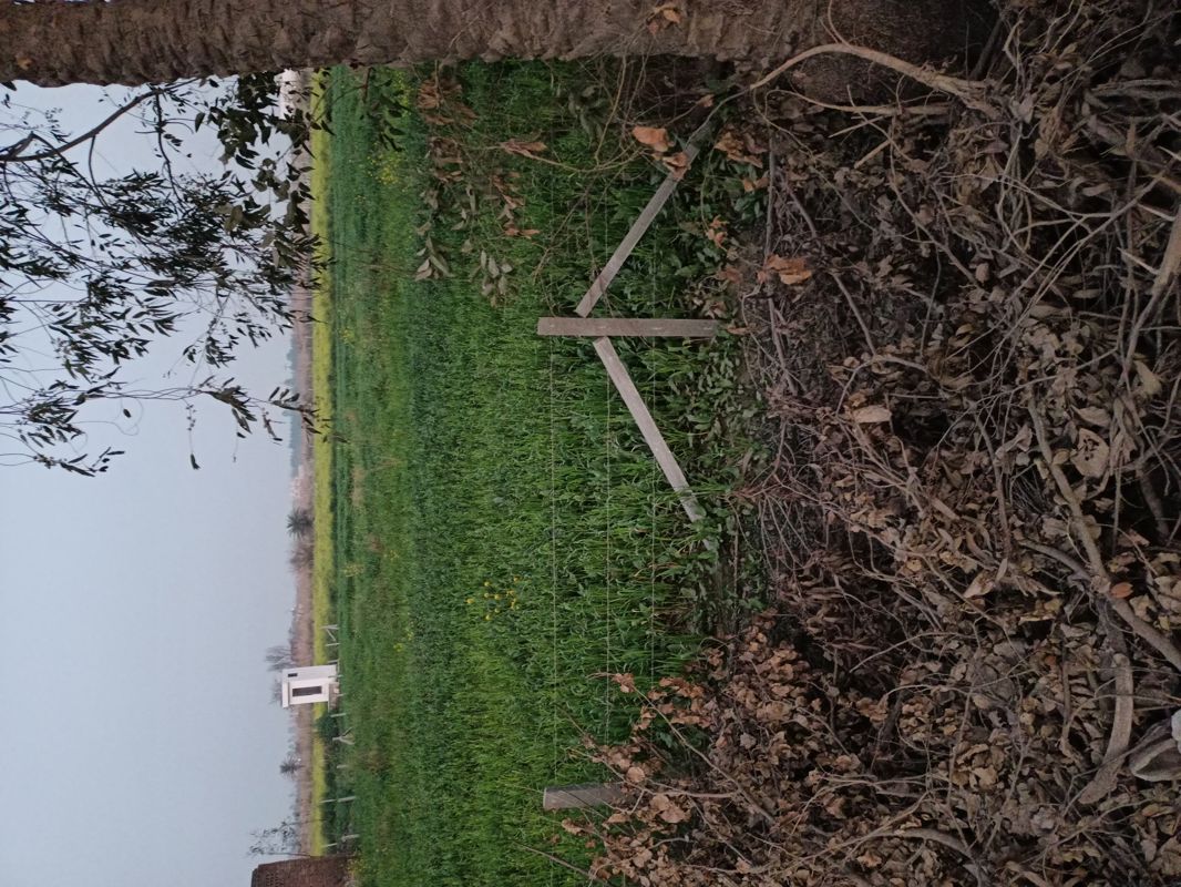 Plot For Sale in Sector 8