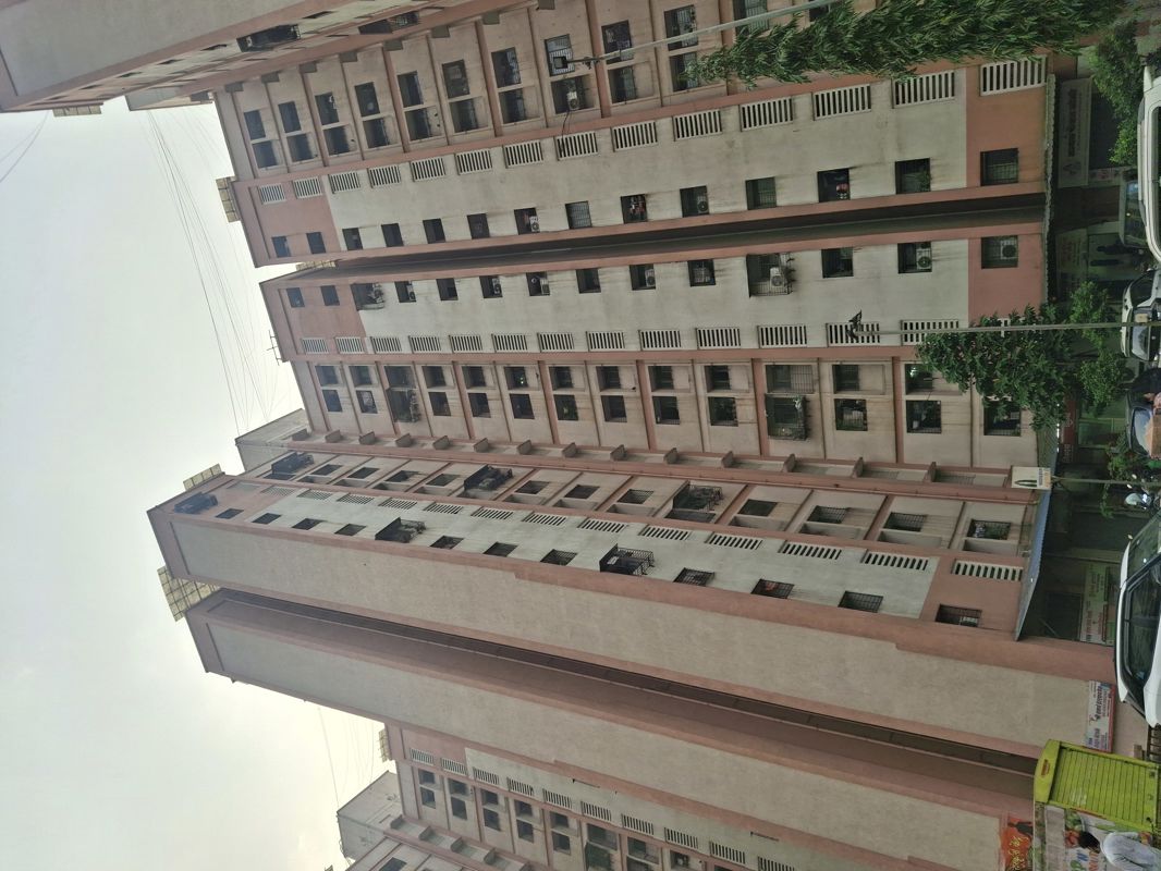 1 BHK Apartment For Rent in Meghmalhar CHS Ghansoli