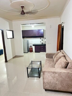 Furnished Amenities in 3 BHK Apartment at DLF Hamilton Court, Sector 27 – for Rent