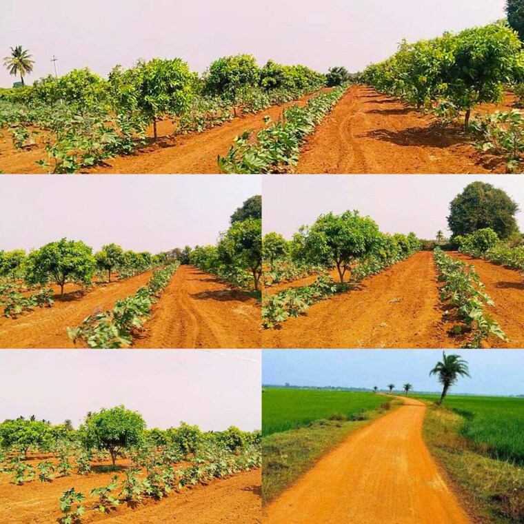 Garden, shabad  150 Sq.Yd. Plot In Shabad Hyderabad 10009228