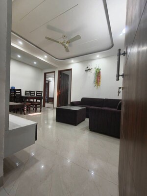 3 BHK Builder Floor For Rent in Sector 14