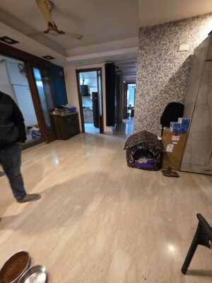 3 BHK Builder Floor For Rent in Chittaranjan Park