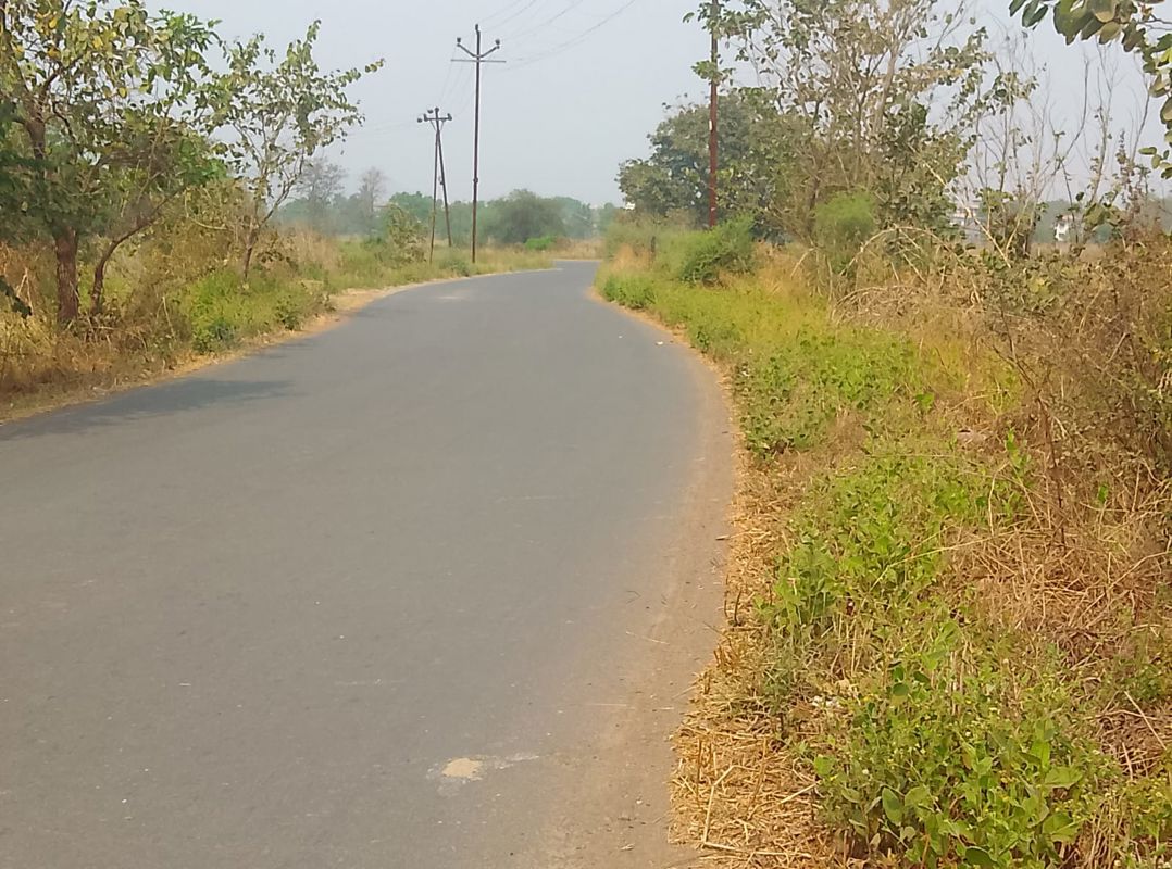 Plot For Sale in Chanje