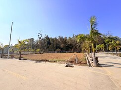 Plot For Sale in Mohabbewala