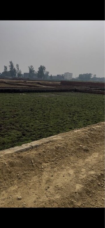 Plot Area in  Plot at Gosainganj – for Sale