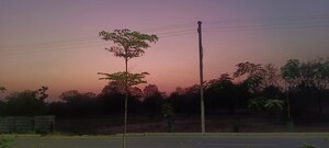  Land – Garden View at Mumatpura - for Rent