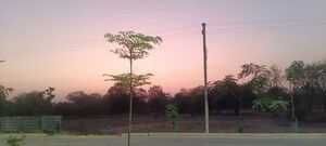  Land For Rent in Mumatpura