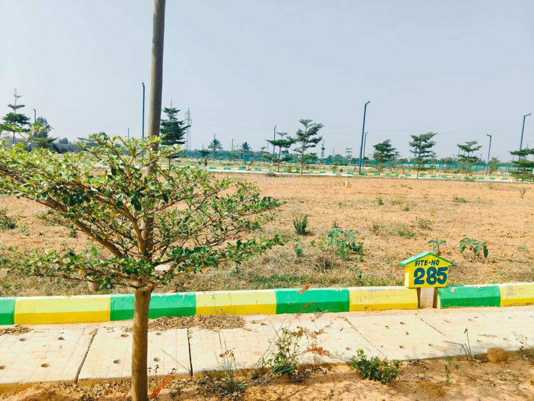 Plot For Sale in Hoskote