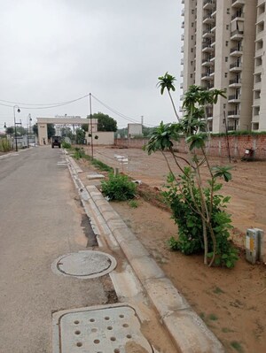 Plot Area in  Plot at ATS Homekraft Bonheur Avenue, Sohna Sector 35 – for Sale