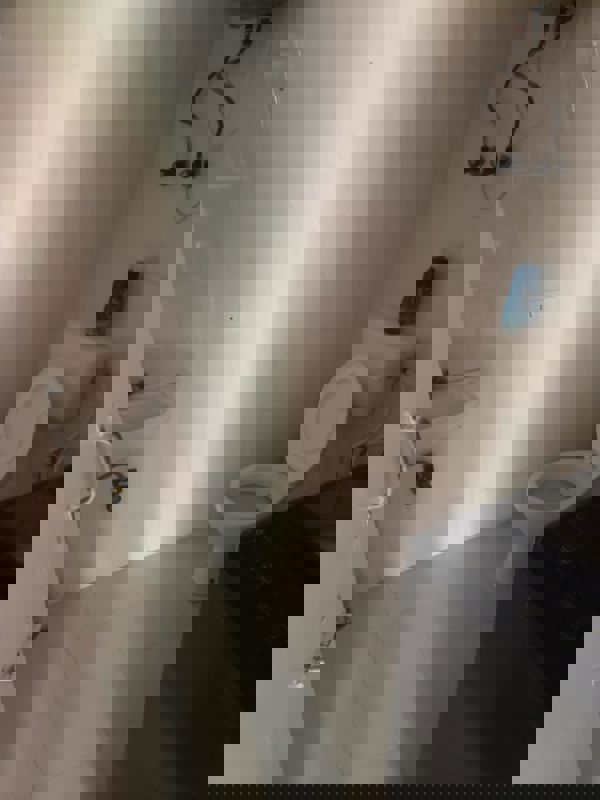 3 BHK + Servant Room 1650 Sq.Ft. Apartment in Arun Vihar Sector 37