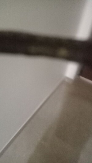 Furnished Amenities in  Office Space in IT/SEZ at Ansals Nest, Kanpur Road – for Rent