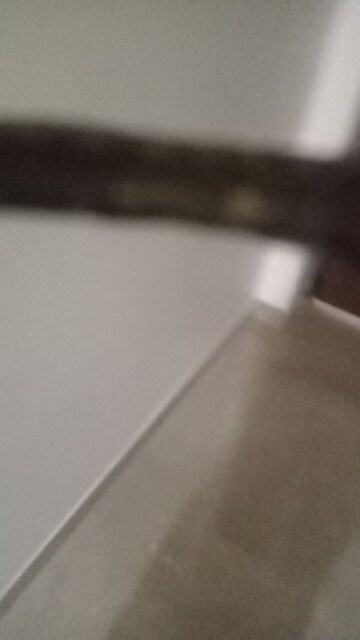 Furnished Amenities in  Office Space in IT/SEZ at Ansals Nest, Kanpur Road – for Rent