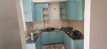 Kitchen in 3 BHK Apartment at Amrapali Crystal Homes, Sector 76 – for Rent