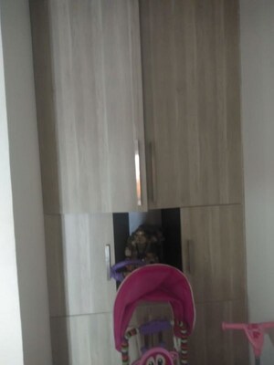  3 BHK Apartment at Ajnara Klock Tower, Sector 74 – for Rent