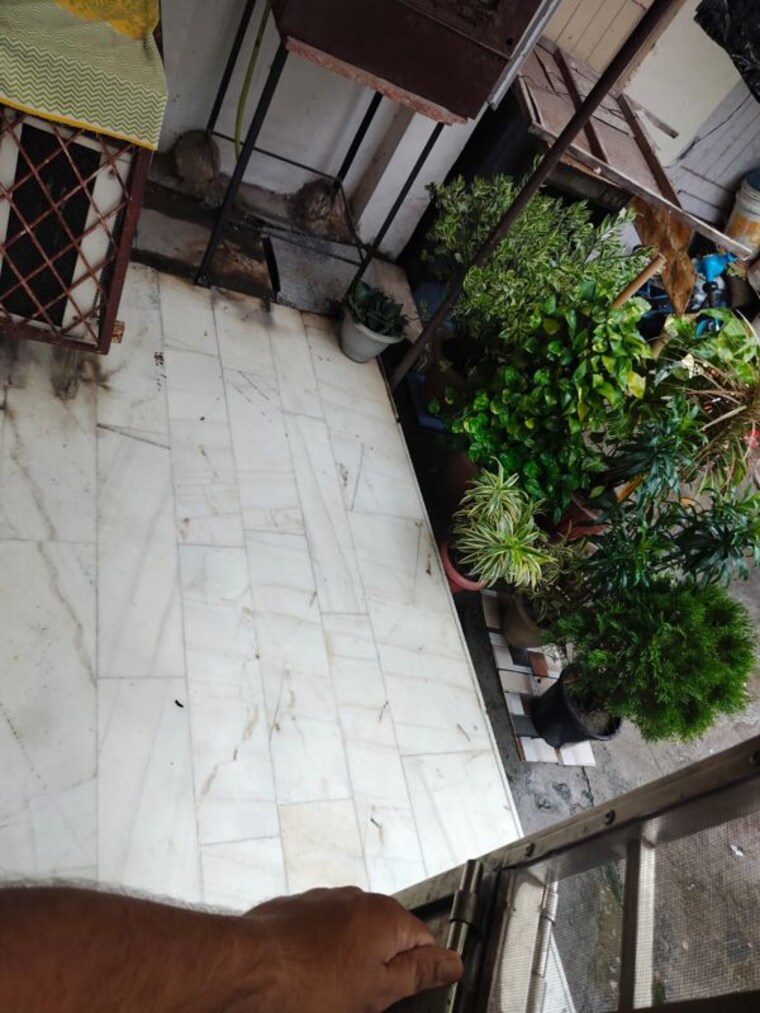 Balcony, kalkaji 3 Bedroom 110 Sq.Yd. Builder Floor In Kalkaji Delhi 9541343