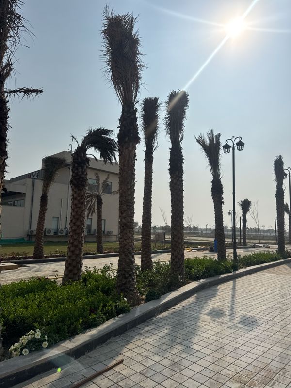 Plot For Sale in ACE Acreville