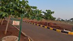200 Sq.Yd. Plot in Thummaloor