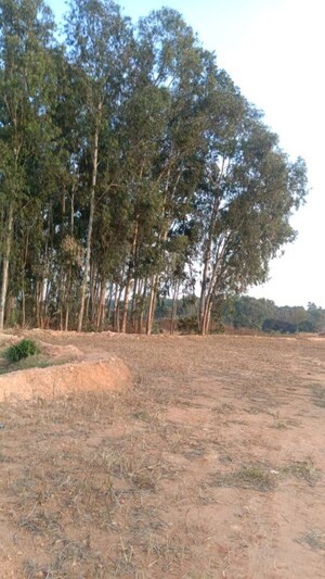 Master Bedroom in 3.5 BHK Villa at Kolar Road – for Sale