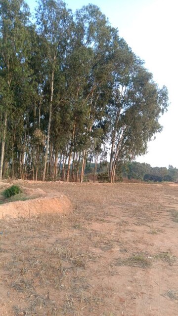 Master Bedroom in 3.5 BHK Villa at Kolar Road – for Sale