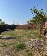 350 Sq.Yd. Plot in Sector 85