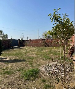 Plot For Sale in Sector 85