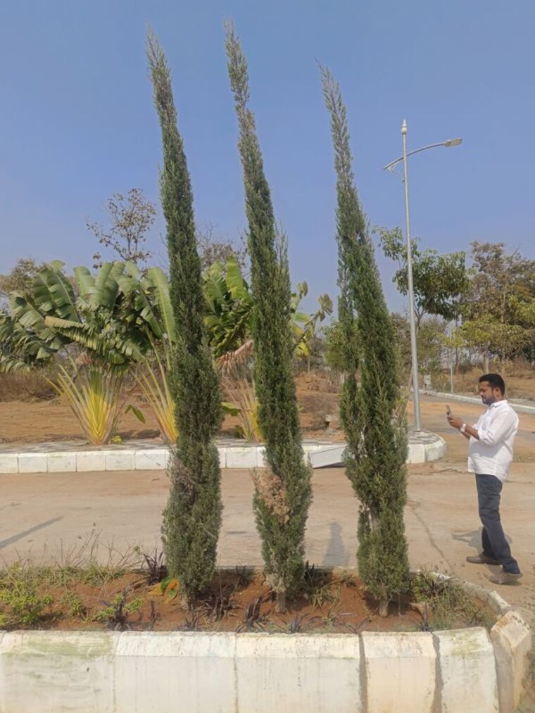 Garden, maheshwaram  240 Sq.Yd. Plot In Maheshwaram Hyderabad 10010724