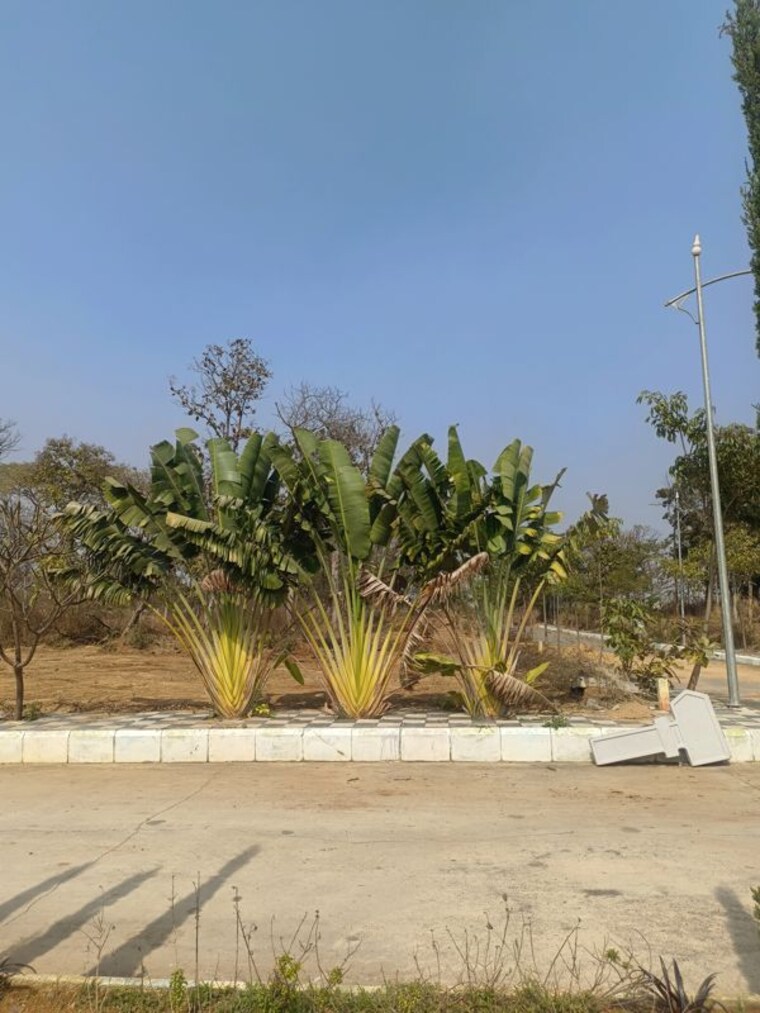 Exterior View, maheshwaram  240 Sq.Yd. Plot In Maheshwaram Hyderabad 10010724