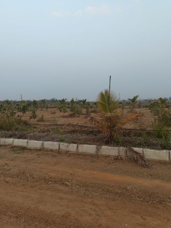 Plot For Sale in Maheshwaram