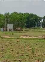 250 Sq.Yd. Plot in Sector 85