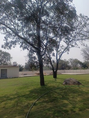  Plot – Garden View at Maheshwaram - for Sale