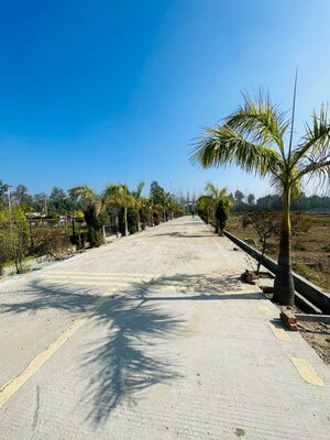  Plot – Exterior View View at Mohabbewala - for Sale