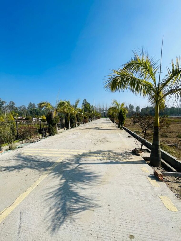 Exterior View, mohabbewala  150 Sq.Yd. Plot In Mohabbewala Dehradun 10010816