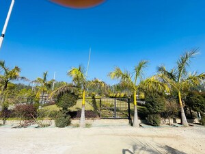  Plot – Exterior View View at Mohabbewala - for Sale