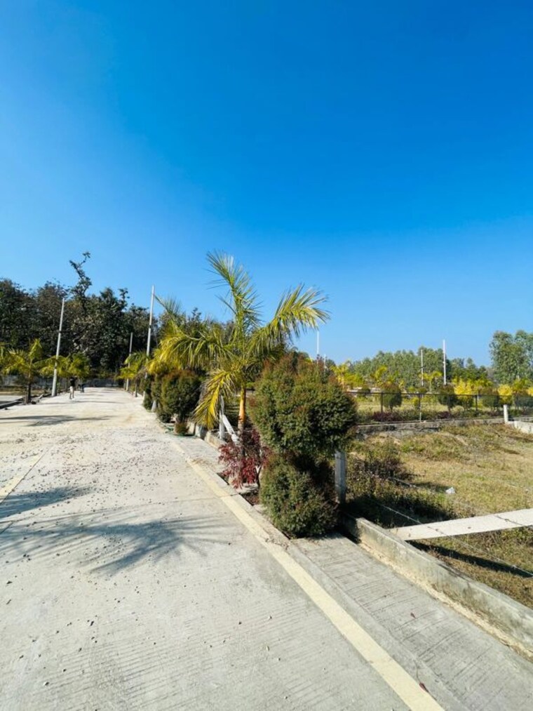 Garden, mohabbewala  150 Sq.Yd. Plot In Mohabbewala Dehradun 10010816