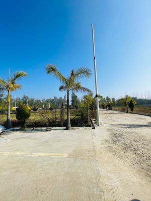 Plot Area in  Plot at Mohabbewala – for Sale