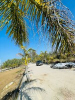 150 Sq.Yd. Plot in Mohabbewala