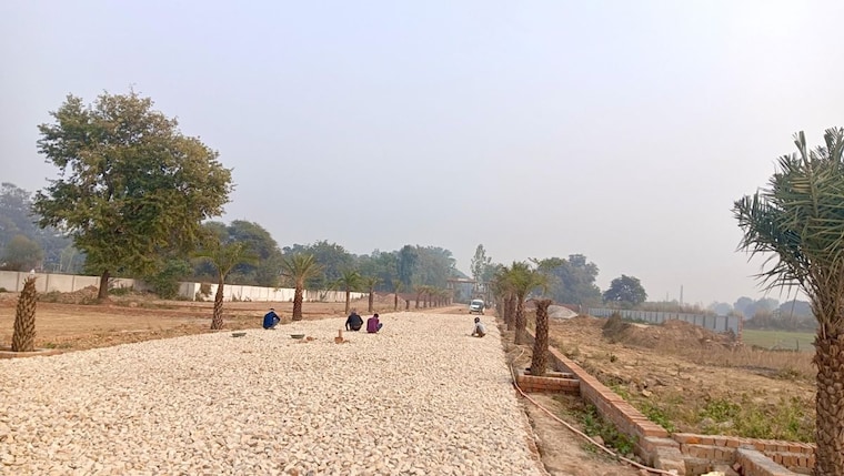 undefined, sultanpur road  1255 Sq.Ft. Plot In Sultanpur Road Lucknow 10010877