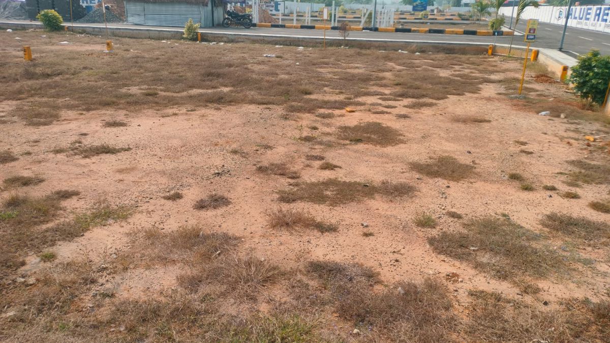 Plot For Sale in Kattankulathur