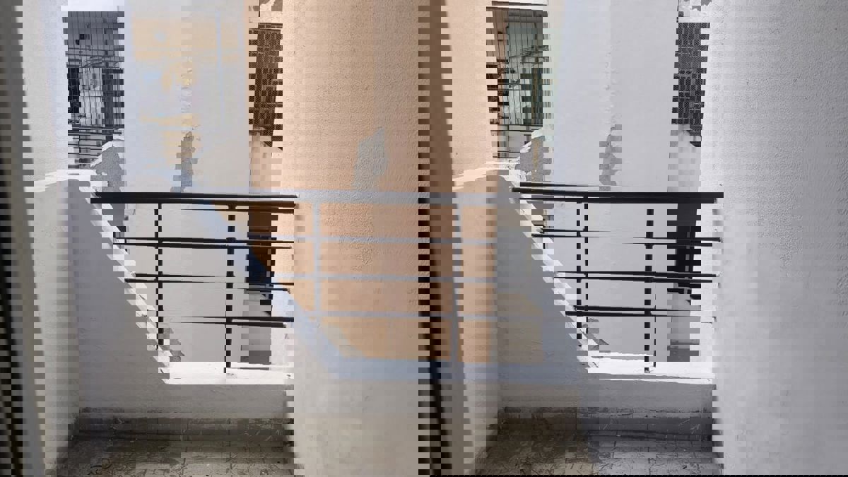 3 BHK + Pooja Room 275 Sq.Yd. Apartment in BPTP Park 81