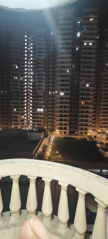 3 BHK + Servant Room Apartment For Rent in Amrapali Crystal Homes