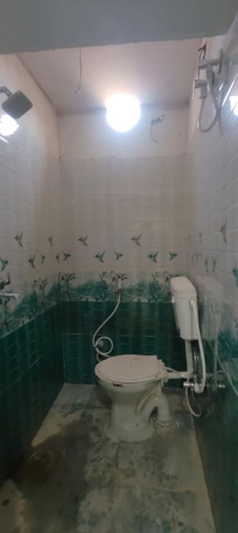 Bathroom, uppadhyay nagar 2 Bedroom 1004 Sq.Ft. Independent House In Uppadhyay Nagar Raipur 10011446