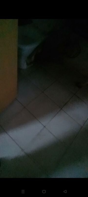 Room in 2 BHK Apartment at LandCraft River Heights, Raj Nagar Extension – for Sale